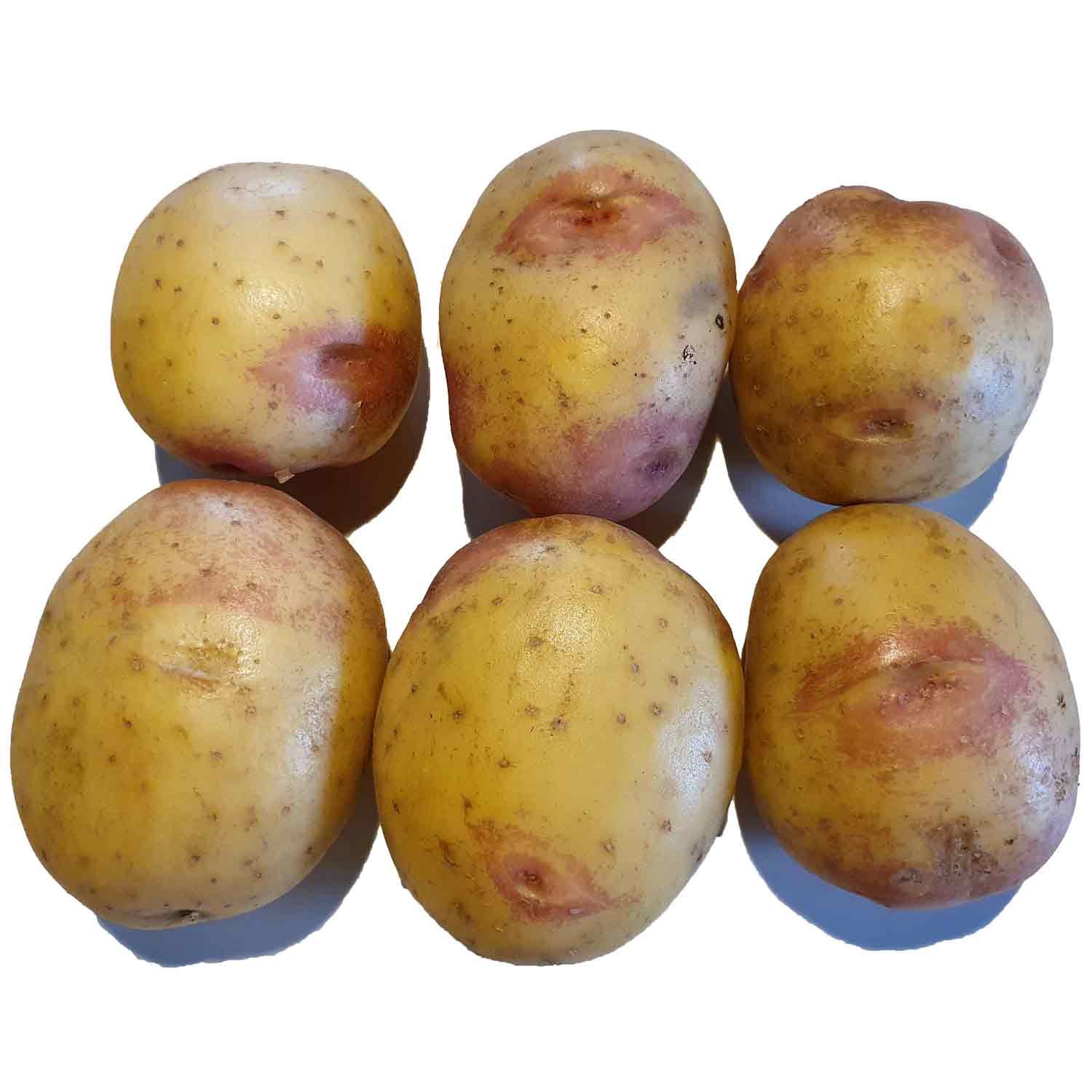Læggekartofler - King Edward - 1,5kg 