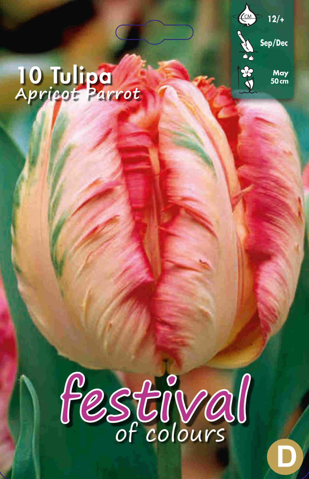 Tulips Apricot Parrot 12/+