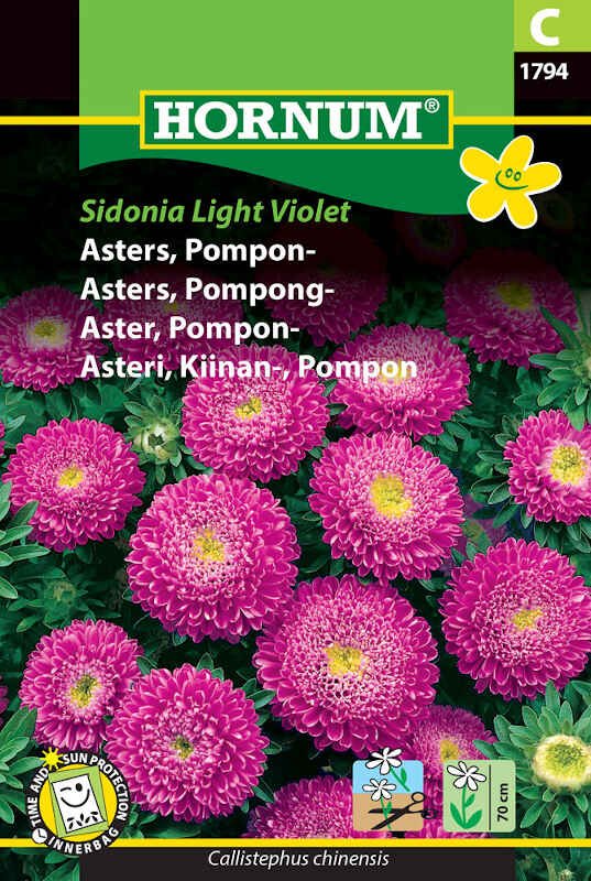 Asters frø - Pompon - Sidonia L. Violet