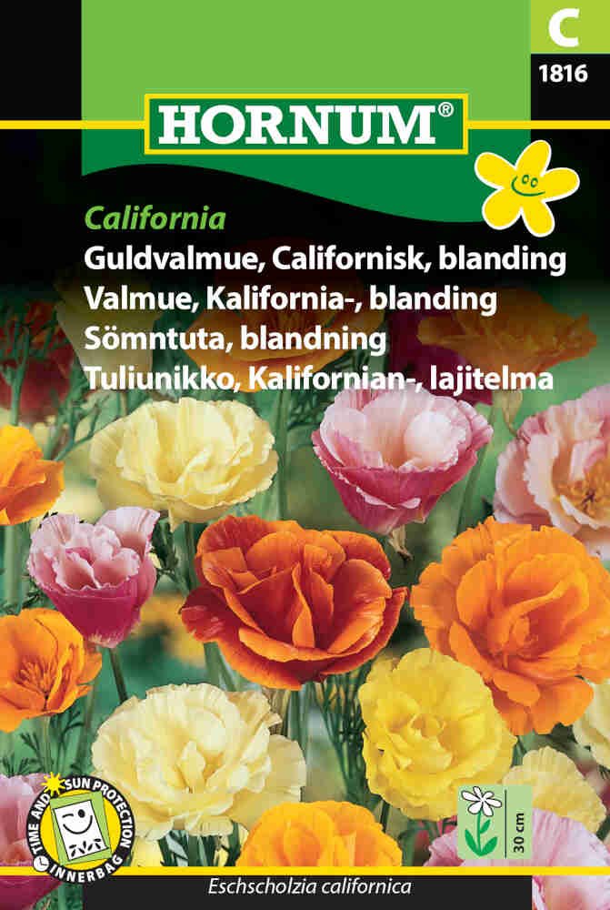 Guldvalmue frø - Californisk blanding California