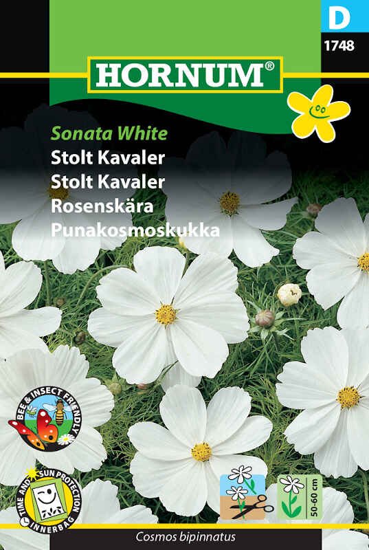 Stolt Kavaler frø - Sonata White