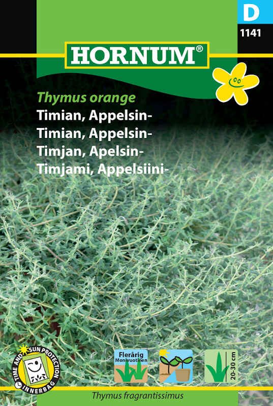 Timian, Appelsin-, Thymus Orange (D)