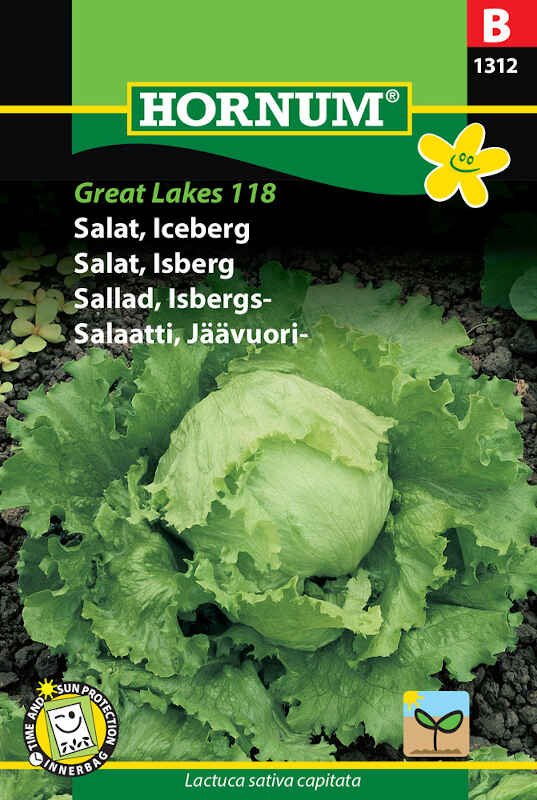 Salatfrø - Iceberg, Great Lakes 118