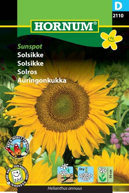 Solsikke, Sunspot (D)