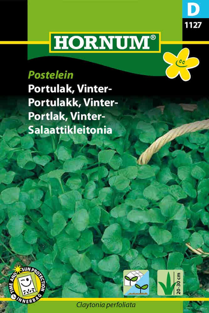 Portulak frø - Vinterportulak - Postelein