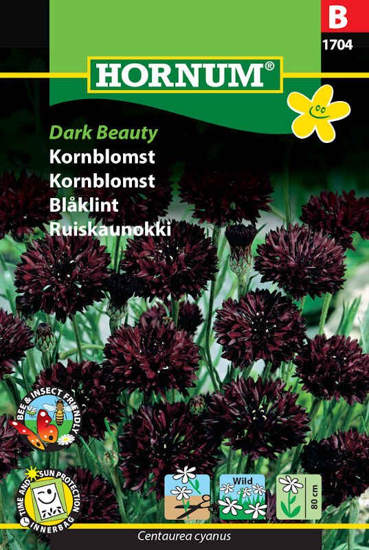 Kornblomst frø - Dark Beauty