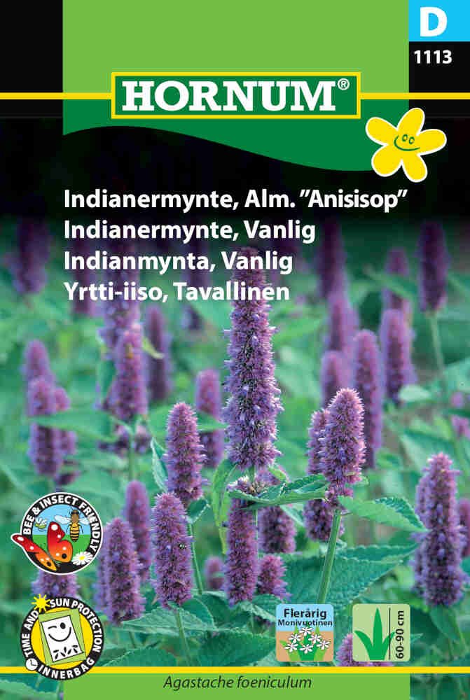 Indianermynte frø - Alm. Anisisop