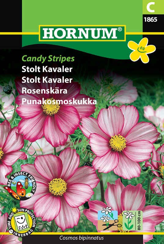 Stolt Kavaler frø- Candy Stripes