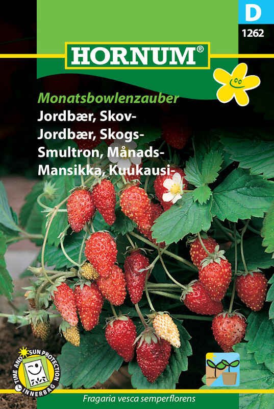 Skovjordbær frø - Monatsbowlenzauber