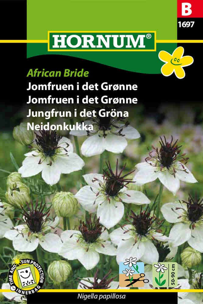 Jomfruen i det Grønne frø - African Bride