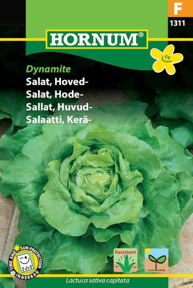 Salatfrø - Hoved - Dynamite