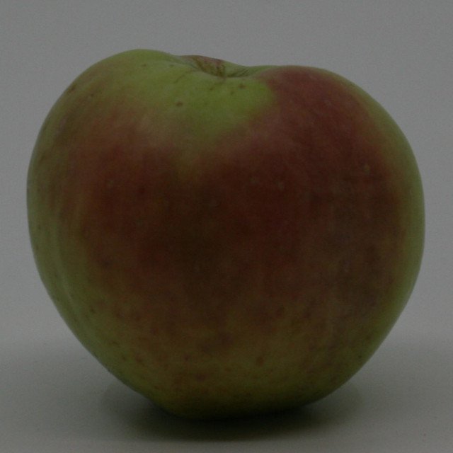 Æbletræ Filippa