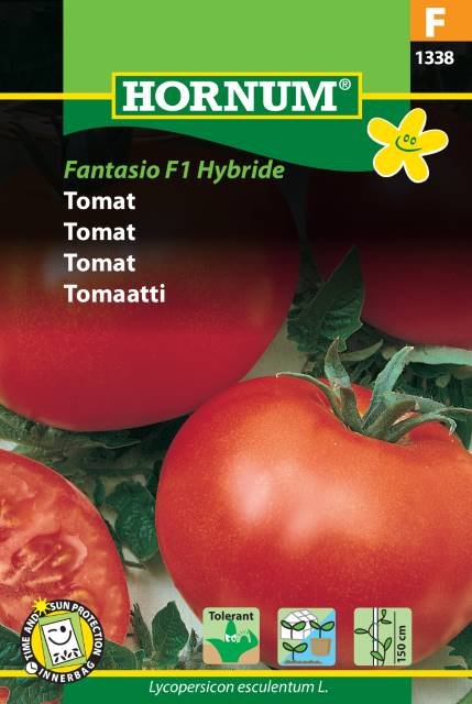 Tomat, Fantasio F1 Hybride (F)