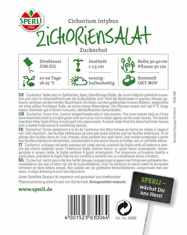 Zichoriesalat - Zuckerhut