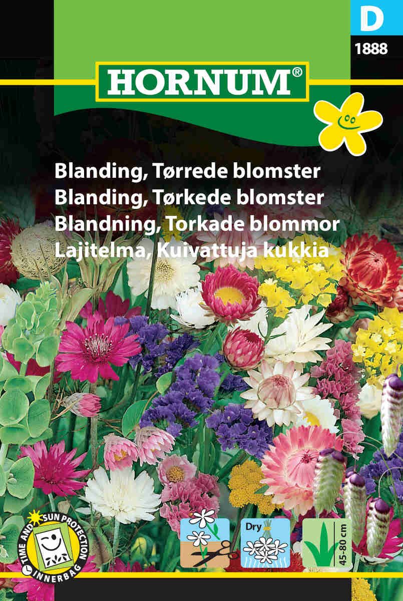 Blanding, Tørrede blomster (D)