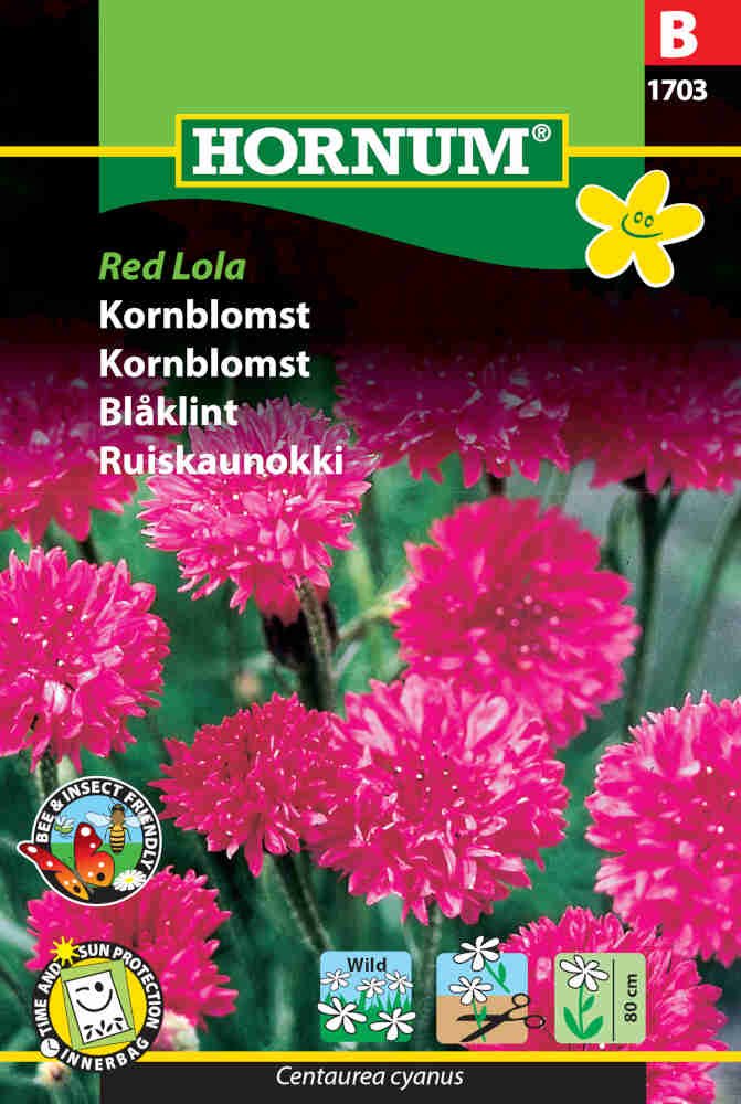 Kornblomst frø - Red Lola