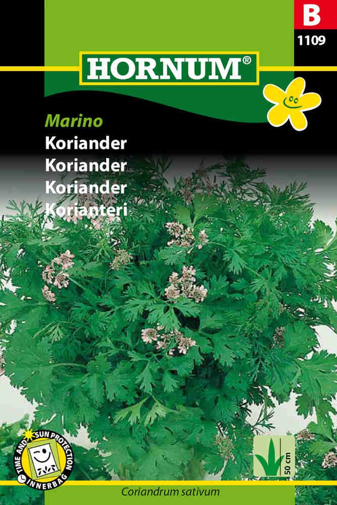 Koriander, Marino (B)