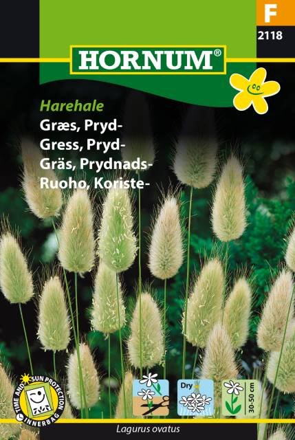Harehale - prydgræs