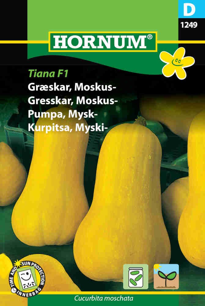 Græskarfrø - Moskus - Tiana F1