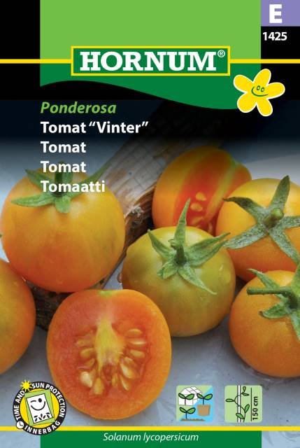 Tomat, "Vinter", Ponderosa (E)