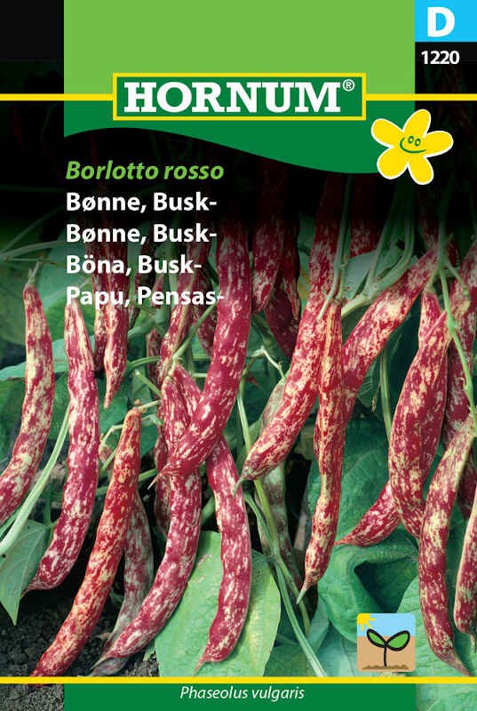 Buskbønne - Borlotto rosso 