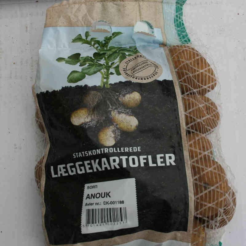 Anouk læggekartofler, små og faste