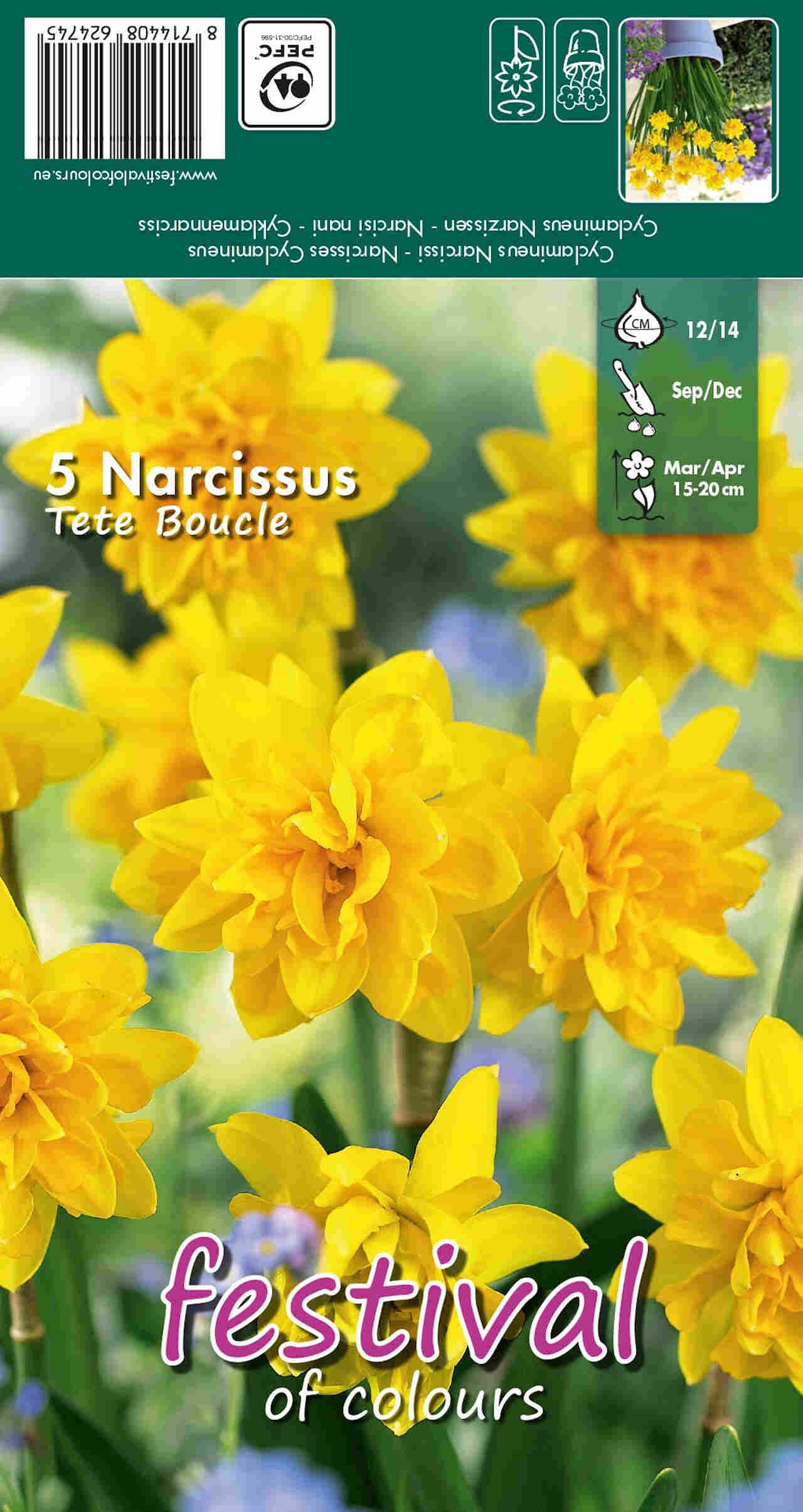Påskelilje løg - Narcissus Tete Boucle 12/14