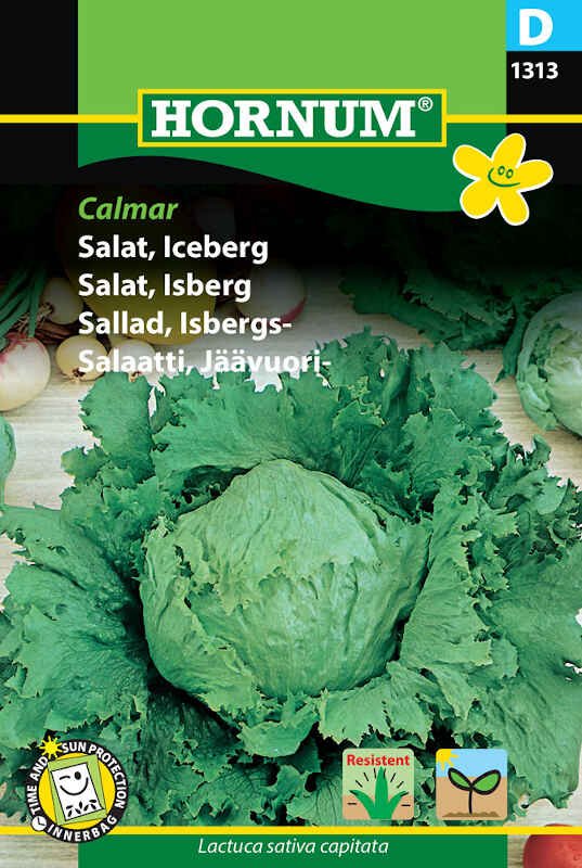 Salat, Iceberg, Calmar (D)