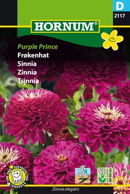 Frøkenhat, Zinnia elegans Purple Prince