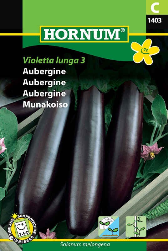 Aubergine frø - Violetta lunga 3