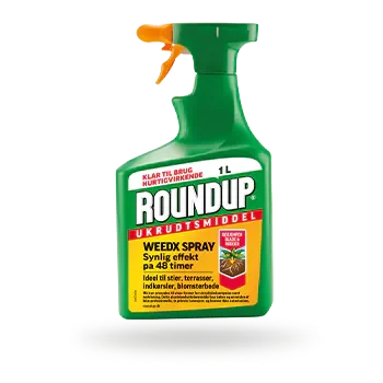 Roundup WeedX KTB Spray - 1L 