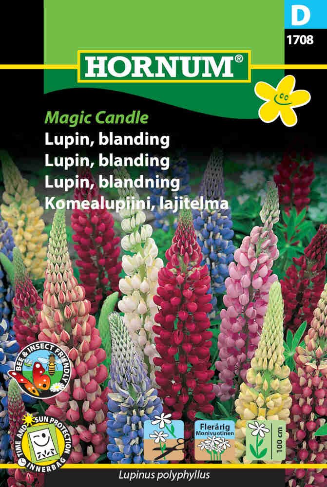 Lupinfrø - blanding - Magic Candle