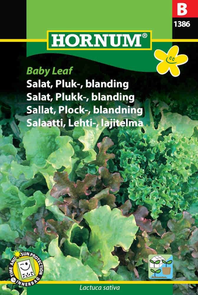 Salatfrø - Pluk - blanding, Baby Leaf