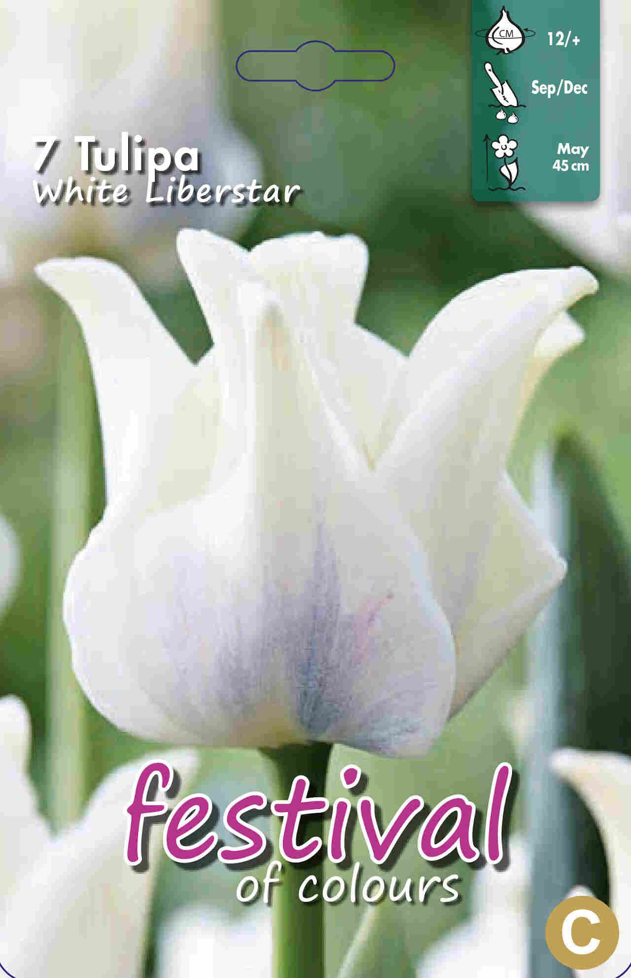 Tulips White Liberstar 12/+