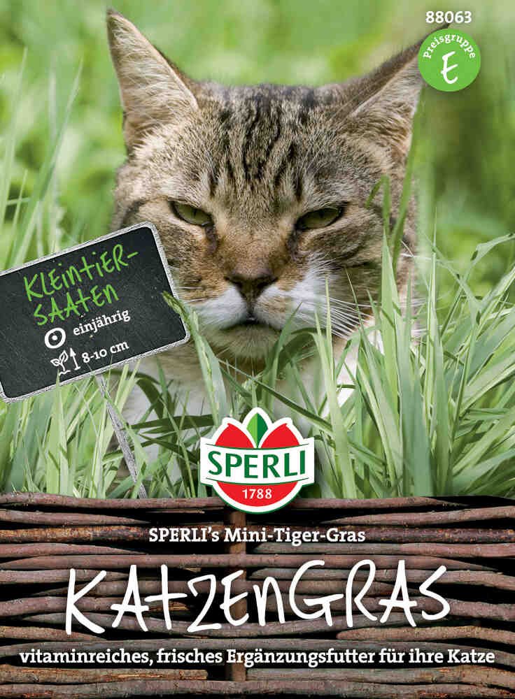 Kattegræs -SPERLI's Mini-Tiger-Gras