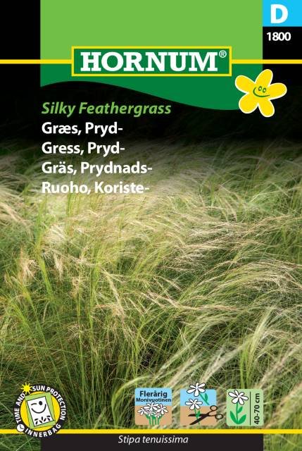 Hejregræs , Silky Feathergrass (D)