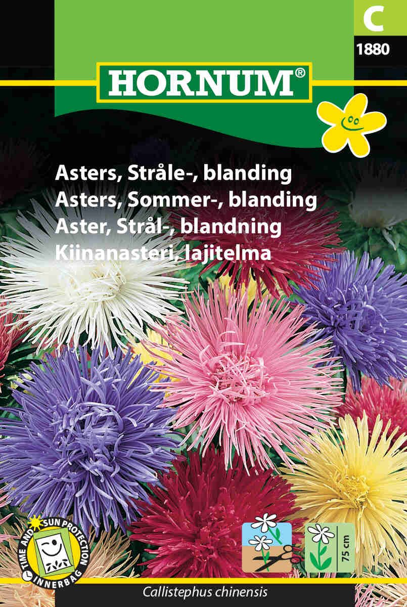 Asters, Stråle-, blanding (C)