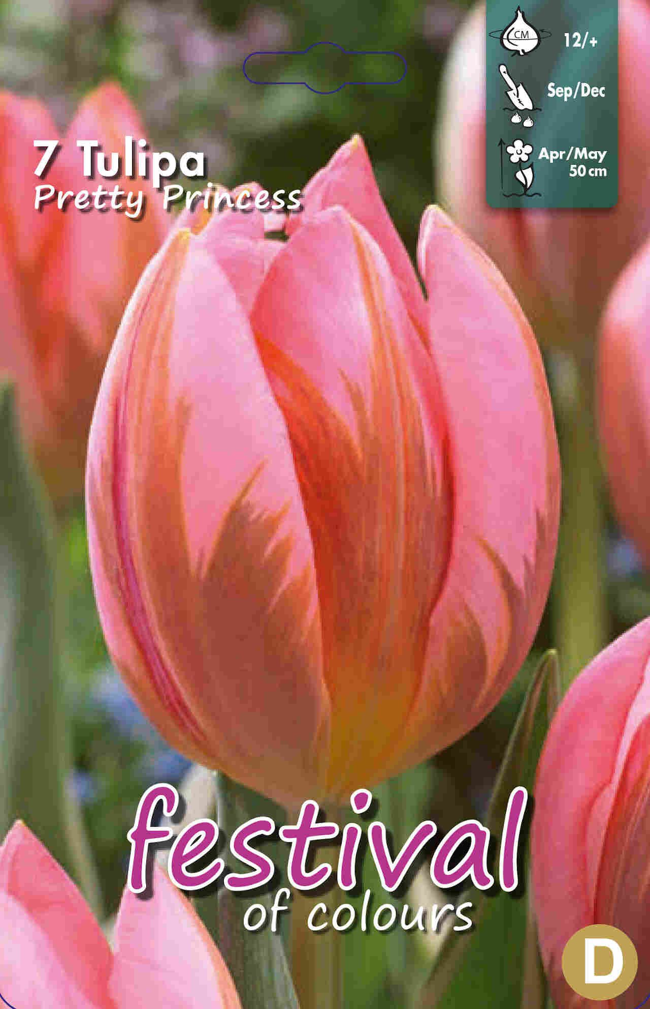 Tulips Pretty Princess 12/+